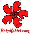 www.bokskobiet.com
