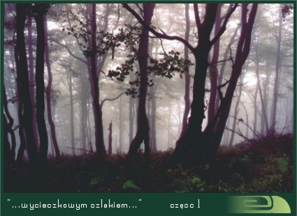 wycieczka01