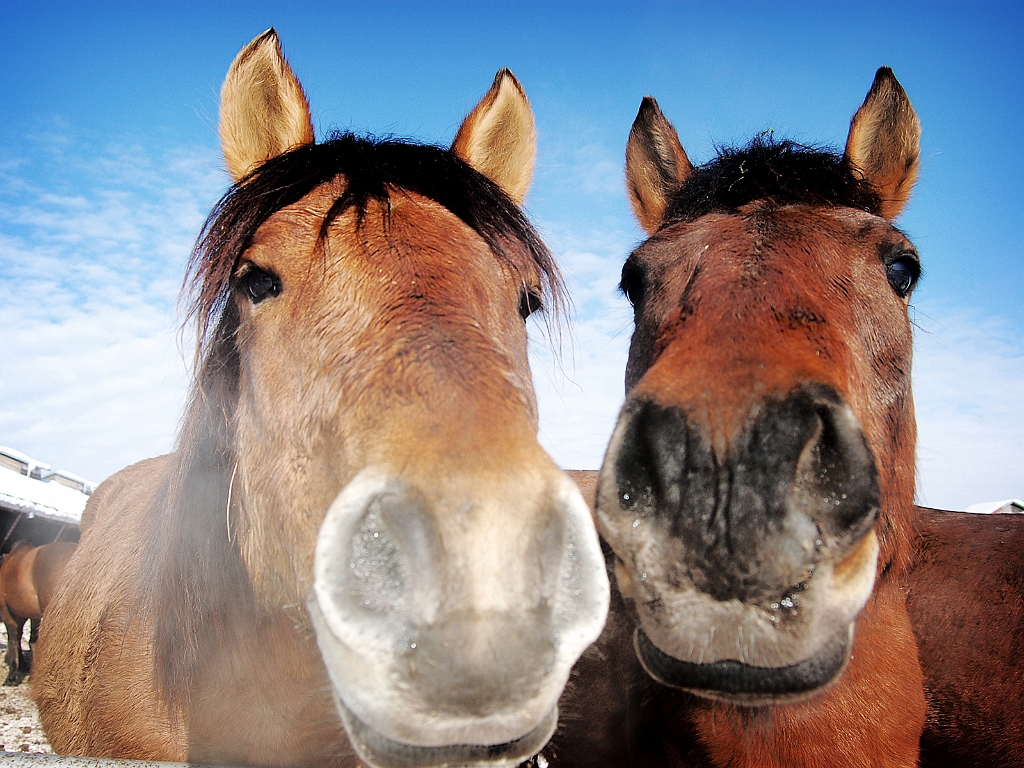 Sebastian_Woloszczuk_1.jpg - SEBASTIAN WOLOSZCZUK