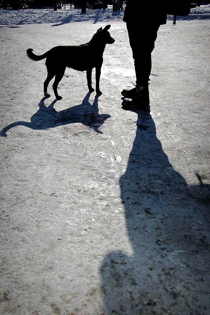 Sebastian_Woloszczuk_2.jpg - SEBASTIAN WOLOSZCZUK