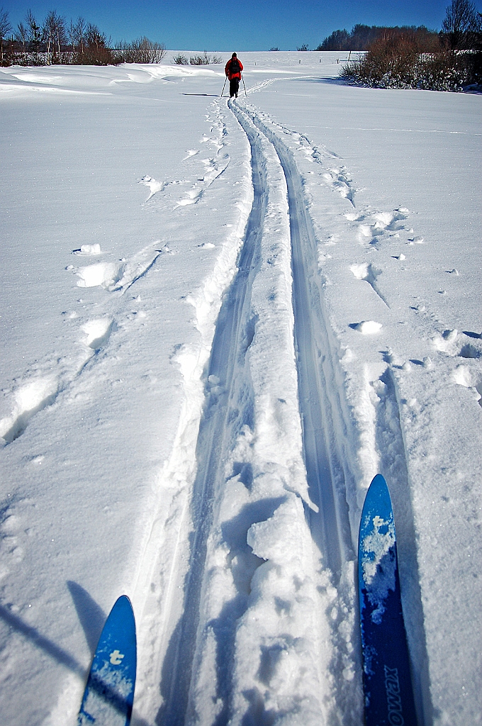 Sebastian_Woloszczuk_4.jpg - SEBASTIAN WOLOSZCZUK