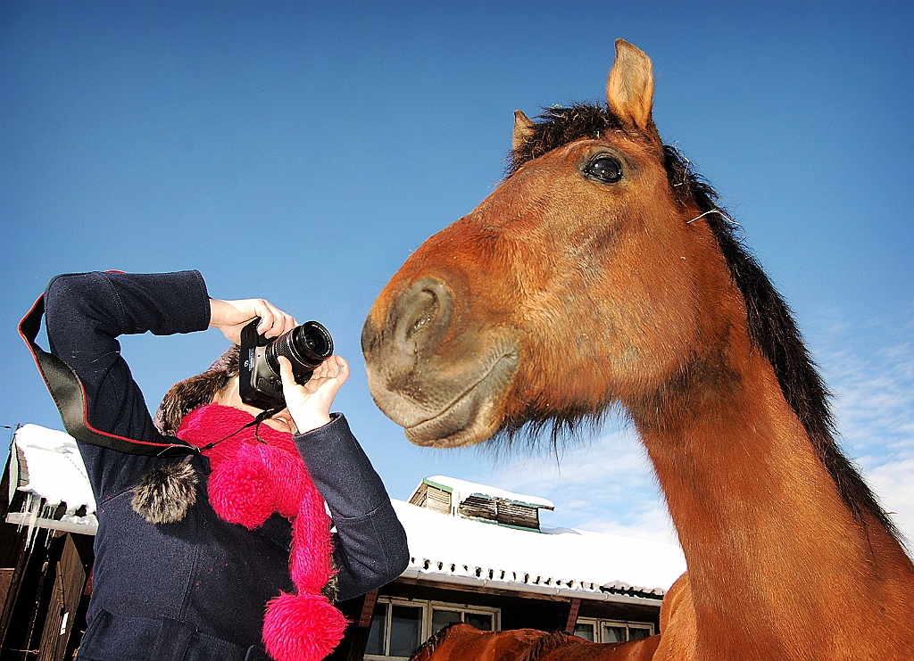 Sebastian_Woloszczuk_7.jpg - SEBASTIAN WOLOSZCZUK