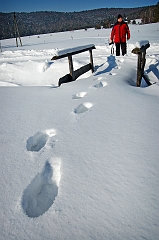 Sebastian_Woloszczuk_6