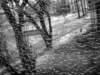 dsc02875_small.jpg