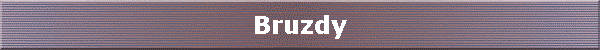 Bruzdy