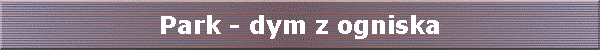 Park - dym z ogniska
