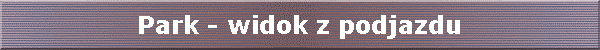 Park - widok z podjazdu