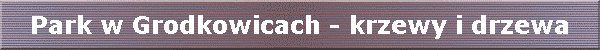 Park w Grodkowicach - krzewy i drzewa