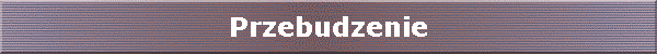 Przebudzenie