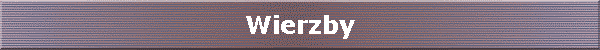 Wierzby