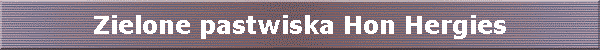 Zielone pastwiska Hon Hergies
